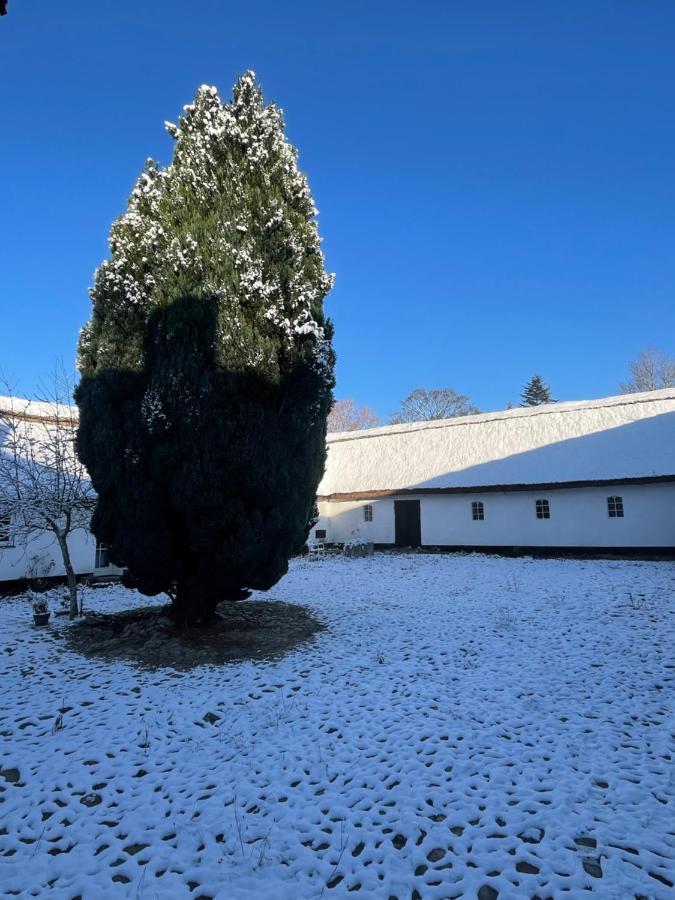Apple Cottage Vejby Luaran gambar