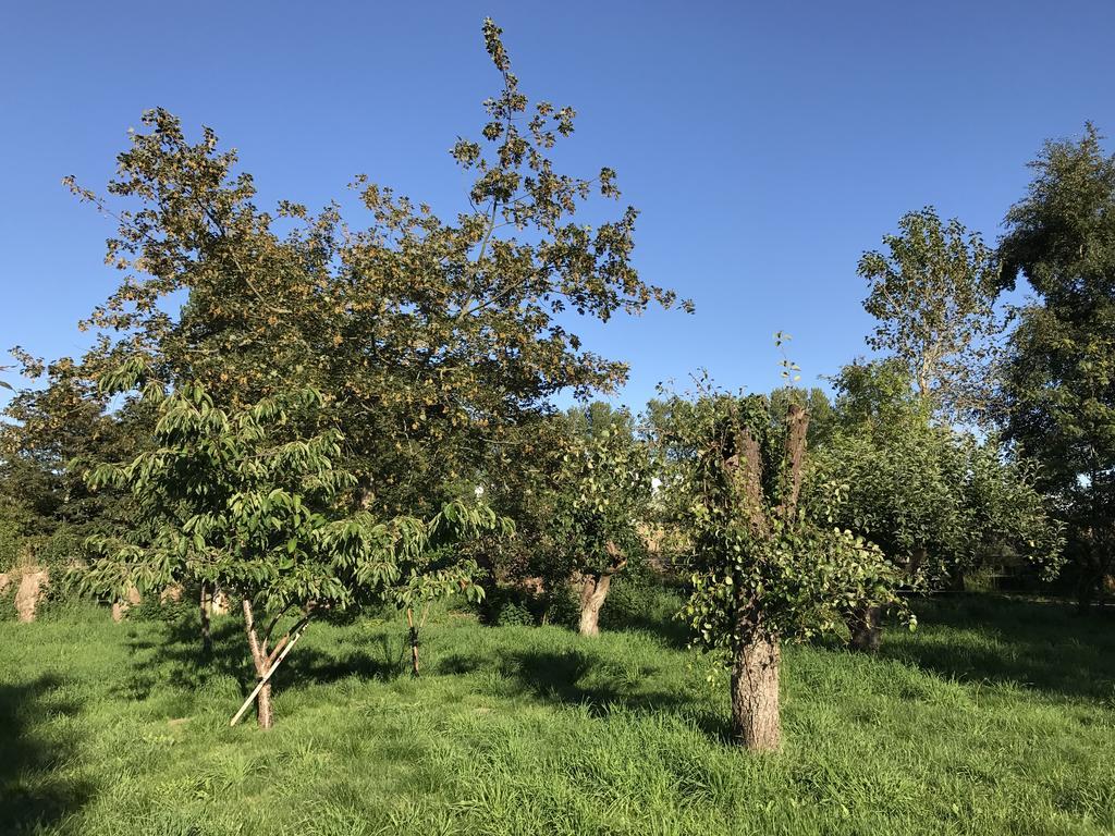 Apple Cottage Vejby Luaran gambar